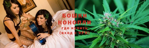 гашик Бердск