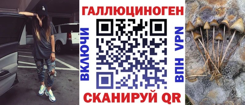 закладки  Иланский  Галлюциногенные грибы GOLDEN TEACHER 